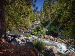 CALIFORNIA Kings River